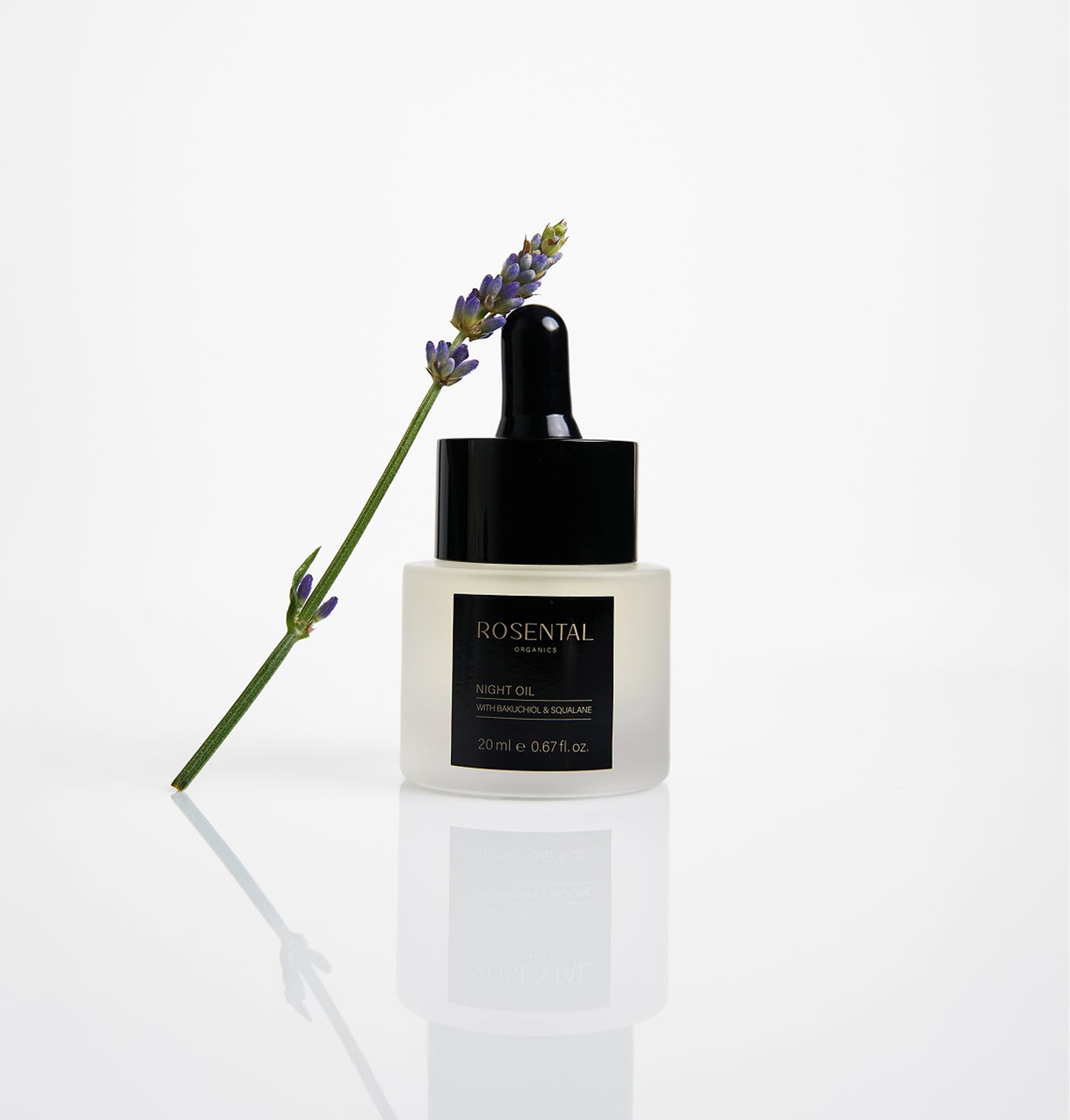 Night Oil | with Bakuchiol & Squalane