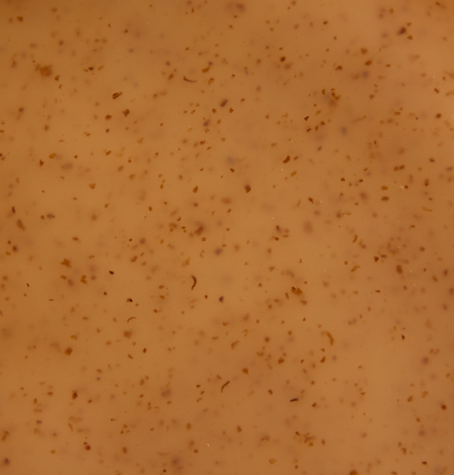 Scalp Exfoliating Shampoo | with Papaya Extract & Bacillus Ferment